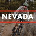 Fuji Nevada 29 1.3 satiniert Silber Mountainbike 5