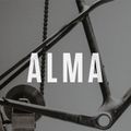 Orbea Mountainbike Alma M30 grün M22216L5 18
