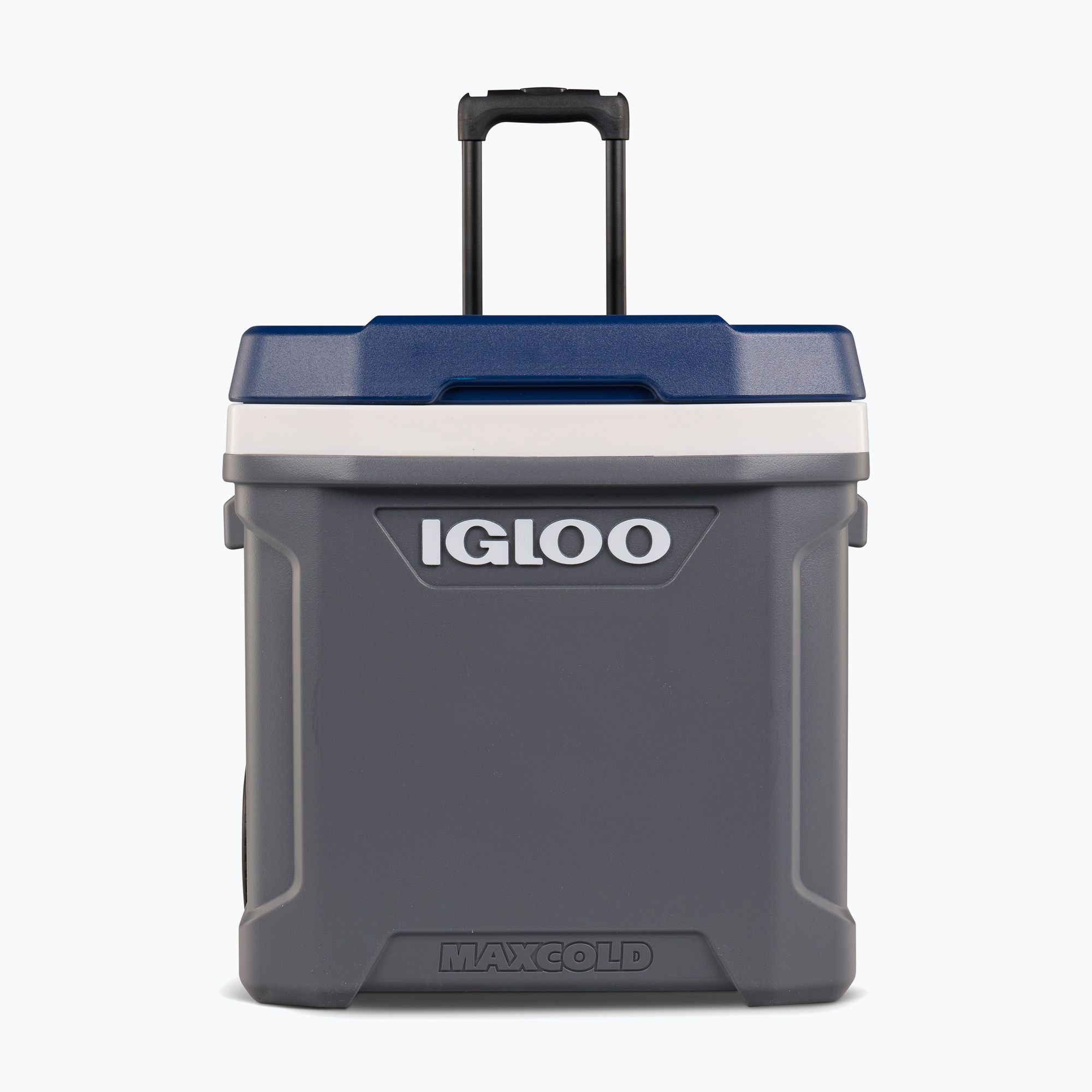 Igloo maxcold latitude fashion 62