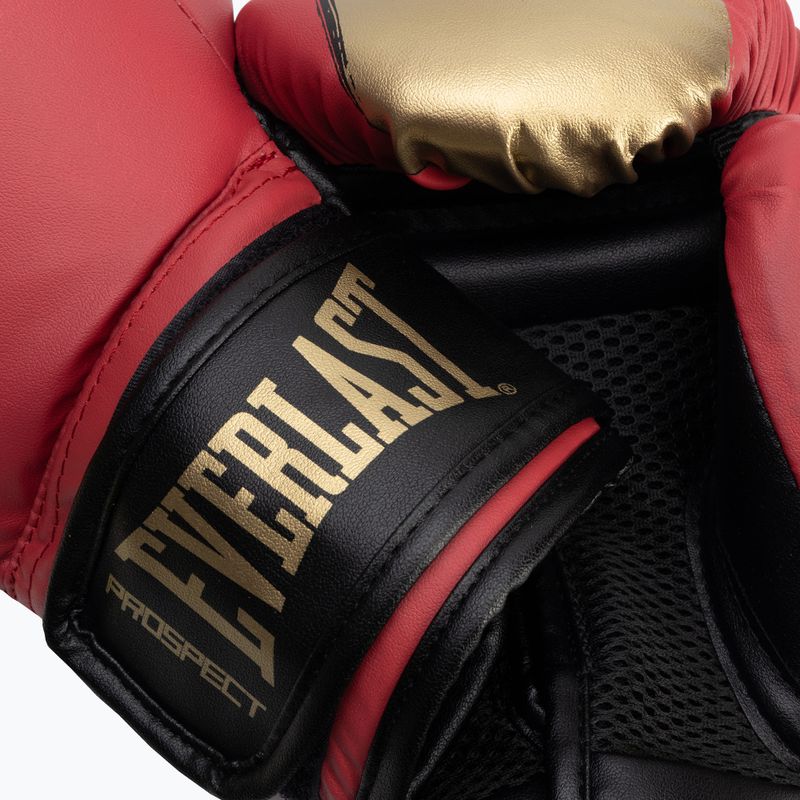 Boxset Everlast Prospect 2 Heavy Bag red/gold 9