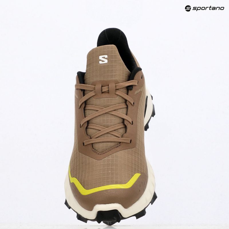 Laufschuhe Herren Salomon Alphacross 5 caribou/canteen/ sulphr 18