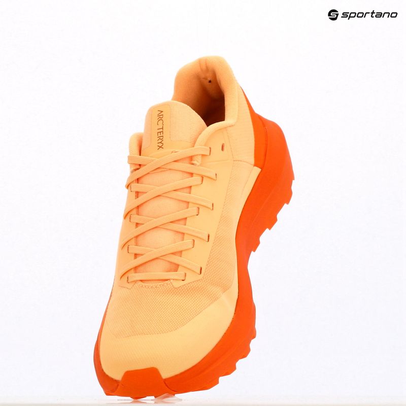 Arc'teryx Norvan LD 4 luminary / verve Damen Laufschuh 11