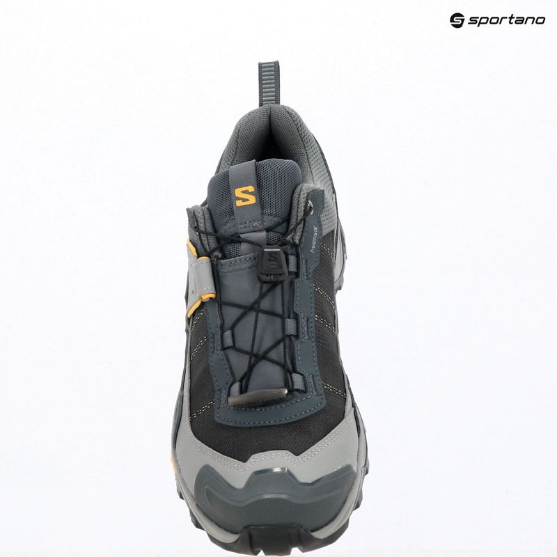 Herren-Trekking-Schuhe Salomon X ULTRA 5 GTX turbulence/monument/spicy mustard 10