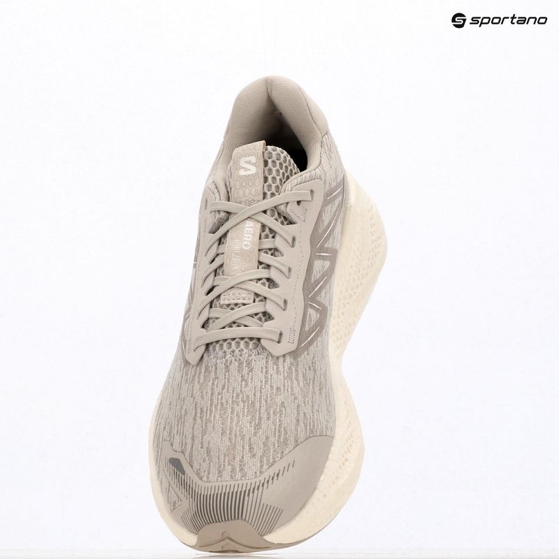 Herren-Laufschuhe Salomon Aero Glide 4 silver/silver/white 7