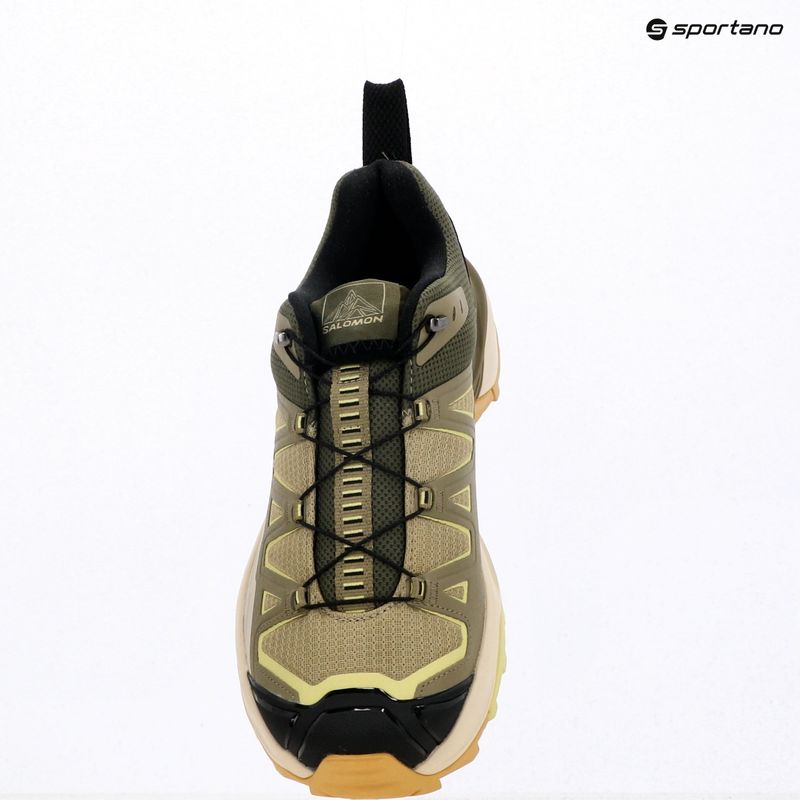 Herren-Trekkingschuhe Salomon X Ultra 360 Edge aloe/slate green 9