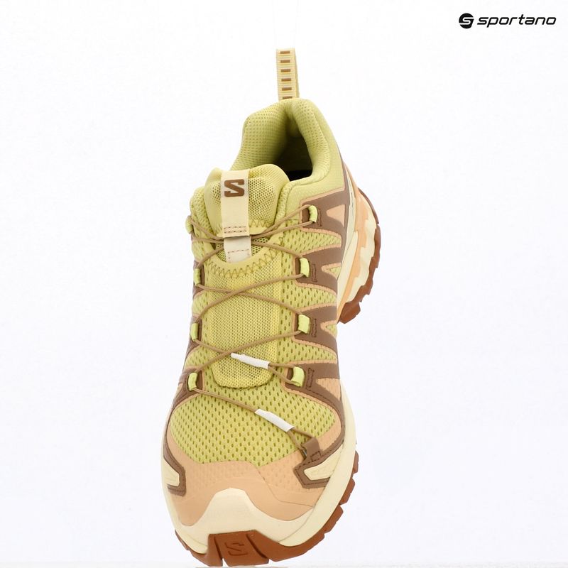 Damen-Laufschuhe Salomon XA Pro 3D V9 endive/burro/almond cream 10