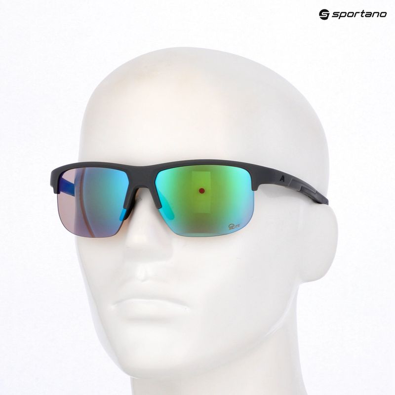 Sonnenbrille Alpina Eagle Q-Lite midnight/grey matt/green 7