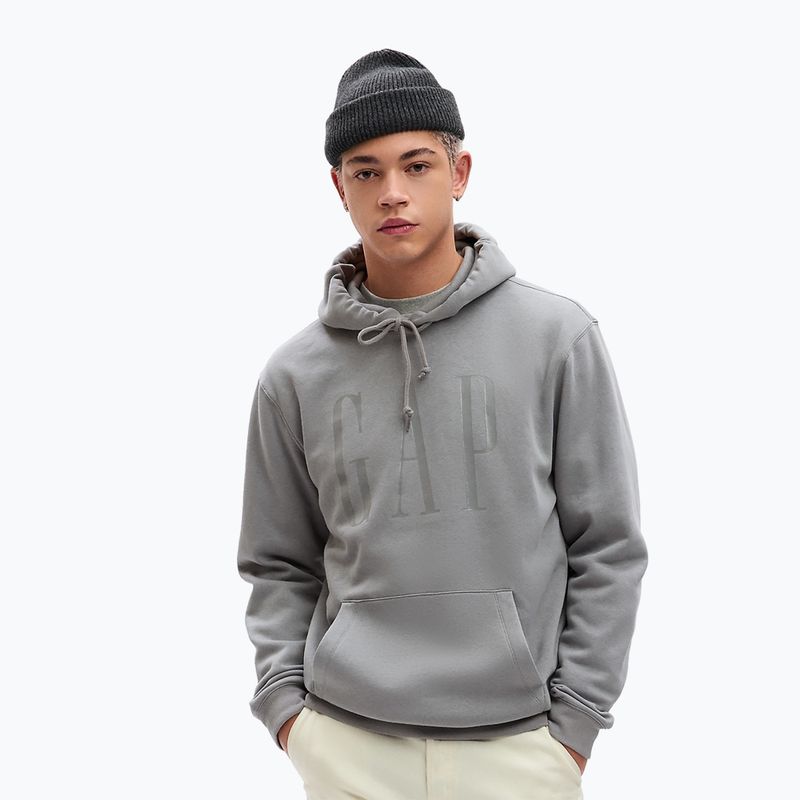 Herren GAP Shine Logo Hoodie pilot grau