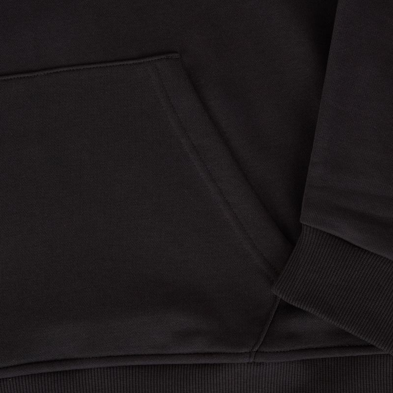 Men's Reebok Identity Big Logo FT Hoodie schwarz/weiß/vektorrot 3