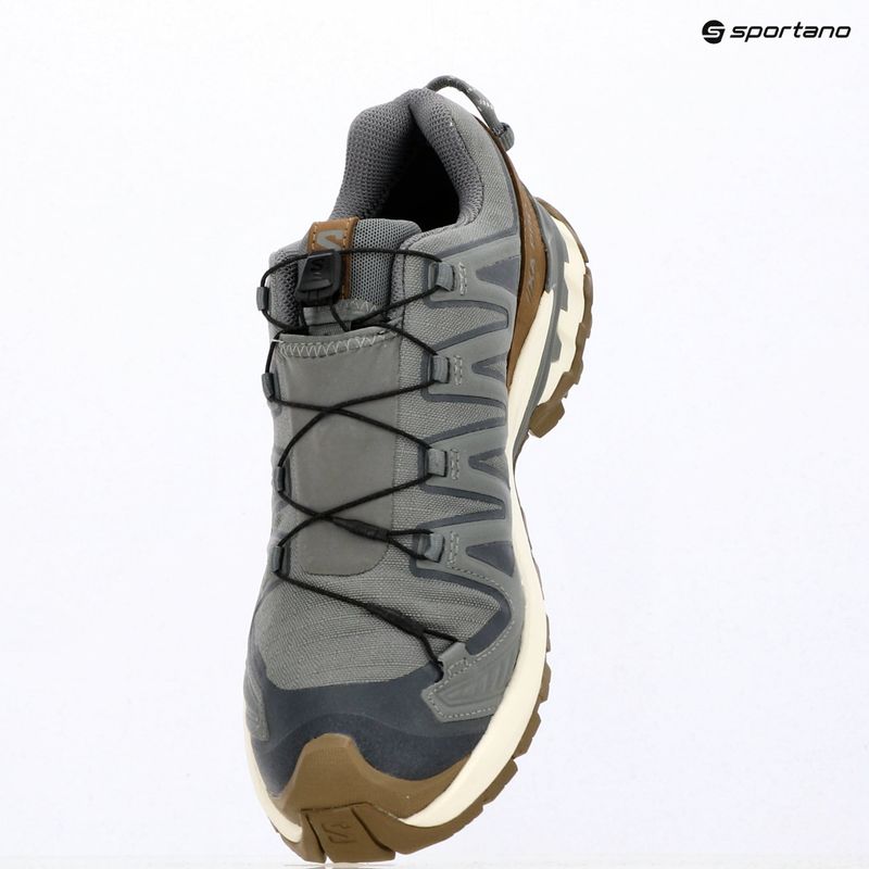 Herren-Laufschuhe Salomon XA Pro 3D V9 GTX Lifelong sedona sage/coyote brown 16