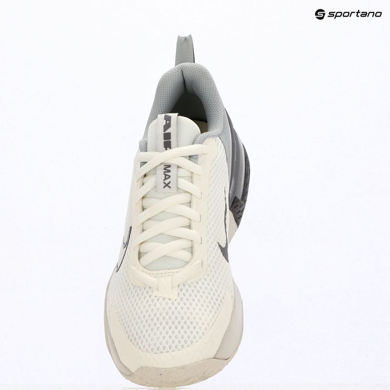 Herren Trainingsschuhe Nike Air Max Alpha Trainer 6 sail/light smoke grey/phantom/pencil point 5