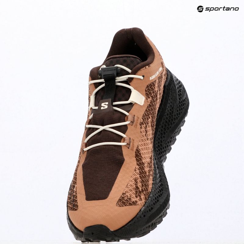 Herren-Laufschuhe Salomon Aero Glide 4 GRVL burro/black 16