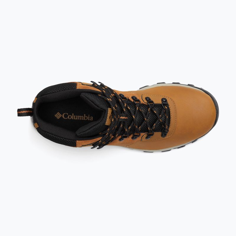 Schuhe Trekking Herren Columbia Newton Ridge Plus II Wp elk/black 15