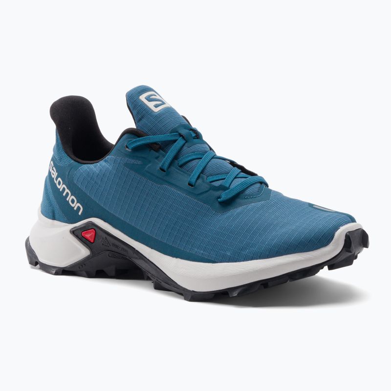 Laufschuhe Trail Herren Salomon Alphacross 3 blau L415997