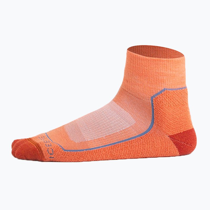 Icebreaker Herren-Trekkingsocken Hike+ Light Mini ember/molten/kyanite