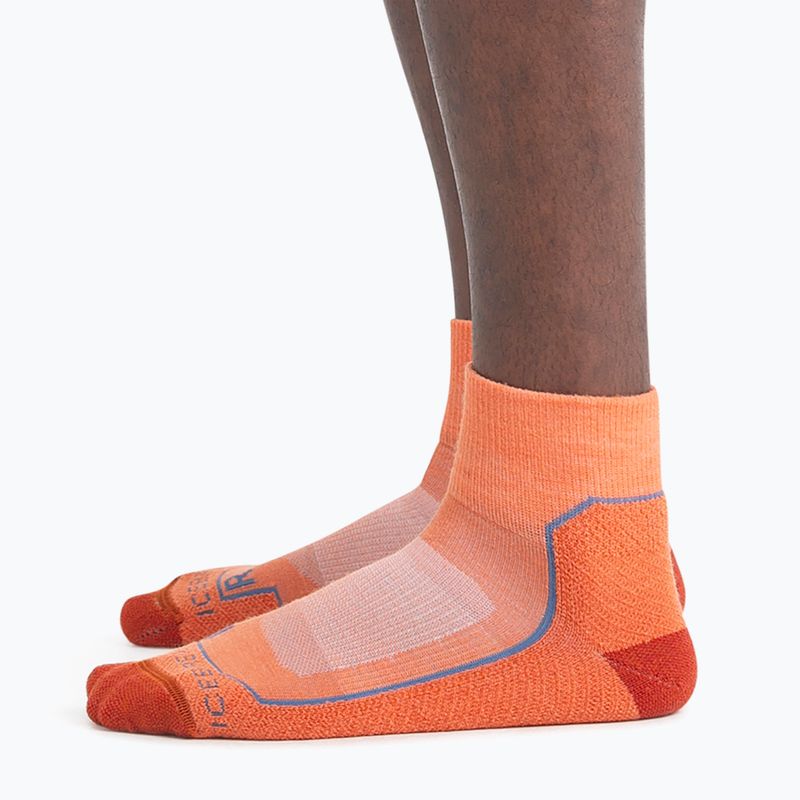Icebreaker Herren-Trekkingsocken Hike+ Light Mini ember/molten/kyanite 2