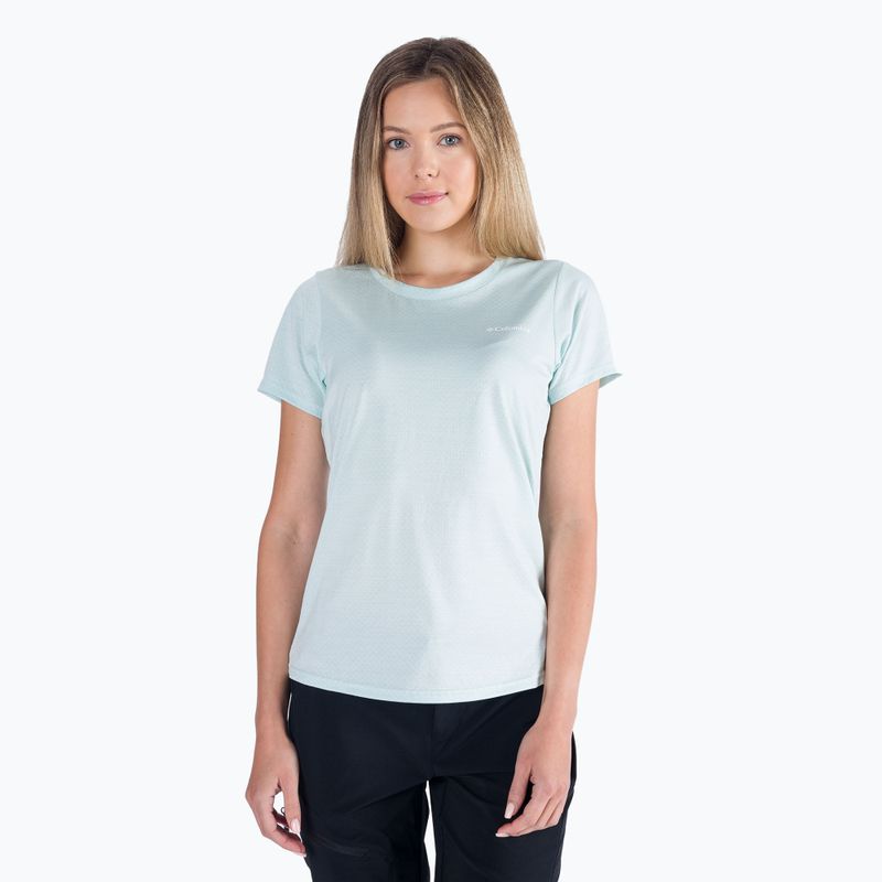 Columbia Alpine Chill Zero Damen-Trekking-Shirt blau 1991694