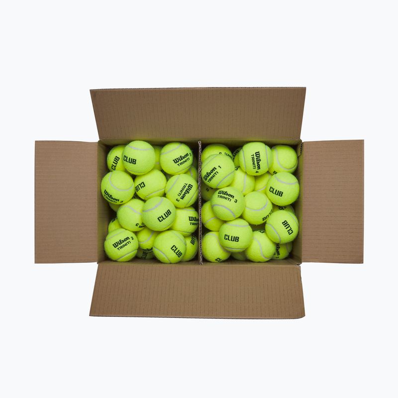 Tennisbälle Wilson Trinity Club 72 pcs. yellow 3