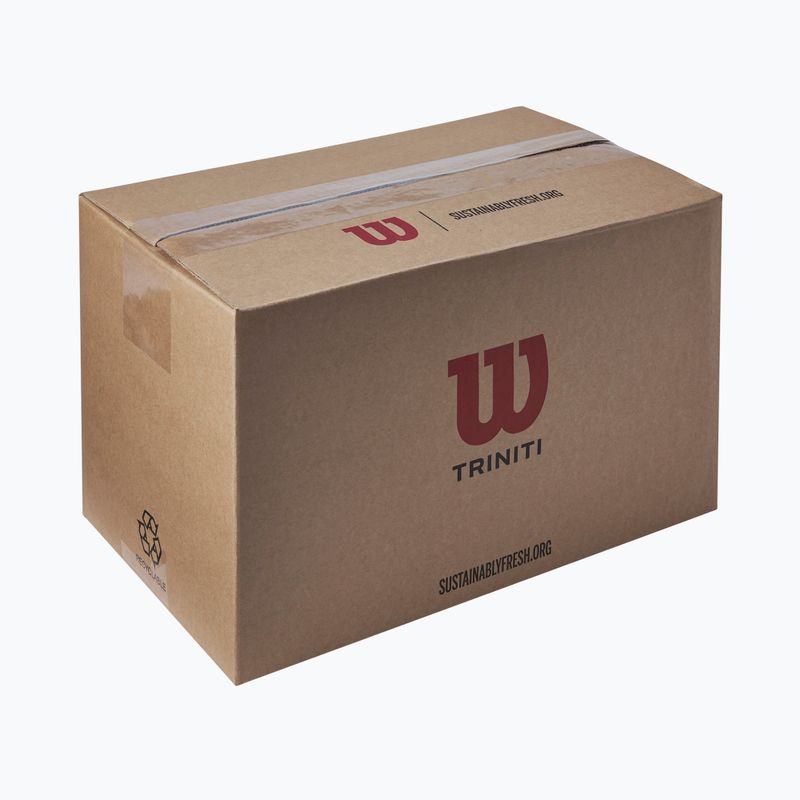 Tennisbälle Wilson Trinity Club 72 pcs. yellow 4