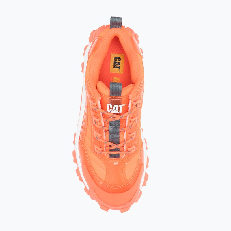 Herrenschuhe CATerpillar Intr Ignite fiery coral 12