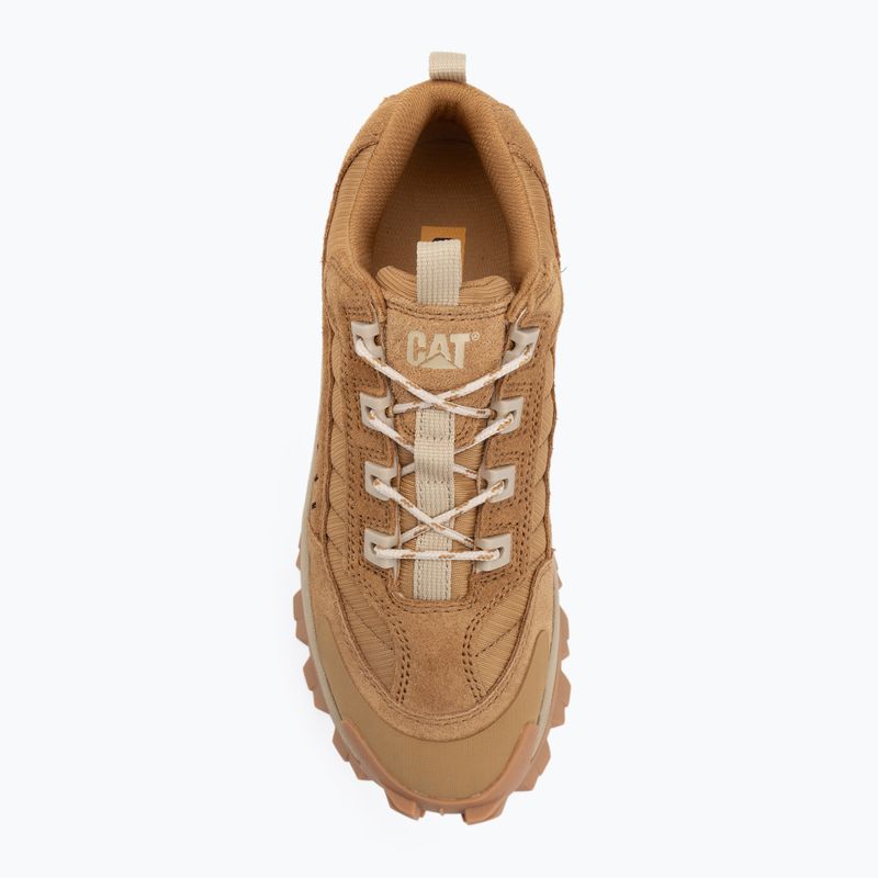 Herrenschuhe CATerpillar Intruder apple cinnamon 5