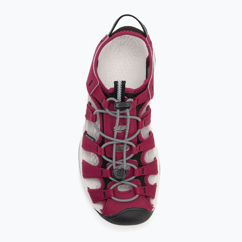 KEEN Astoria West Damen Sandalen beaujolais/star weiß 5