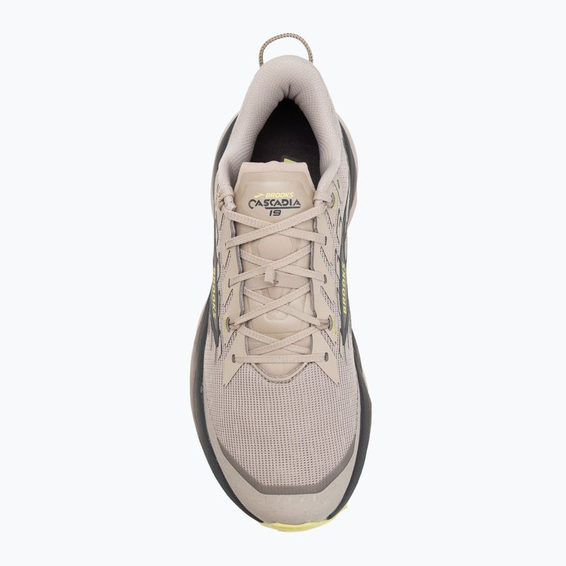Laufschuhe Herren Brooks Cascadia 19 chateau/ebony/sunny lime 5