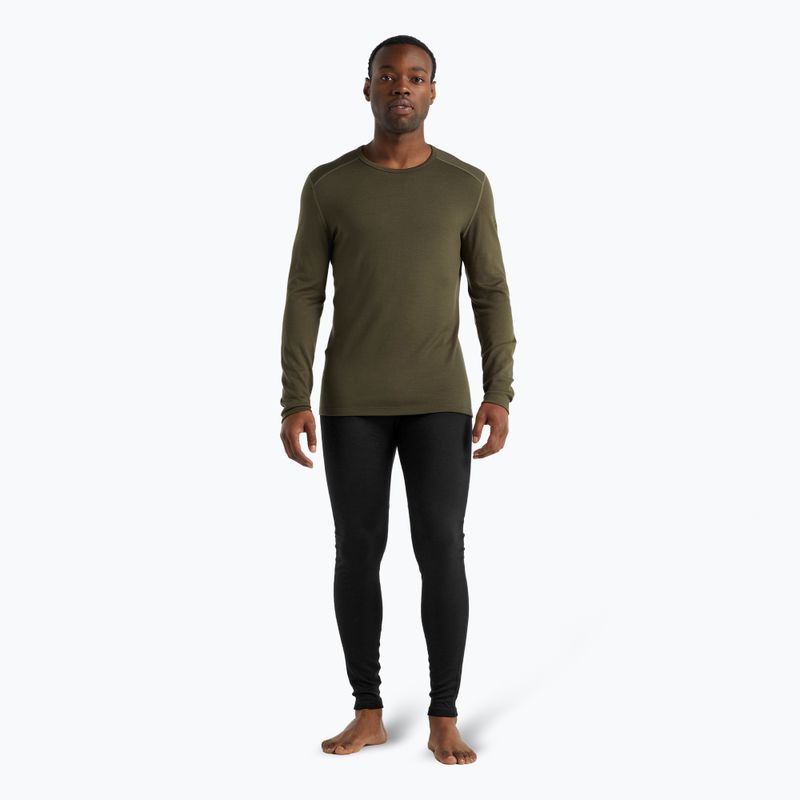 Herren Thermoaktivshirt icebreaker 260 Tech Crewe loden 2