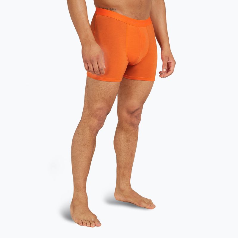 Thermo-Boxershorts für Männer Icebreaker Anatomica blaze 2