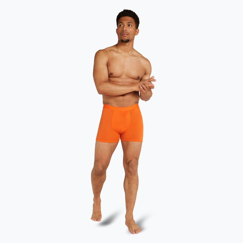 Thermo-Boxershorts für Männer Icebreaker Anatomica blaze 3