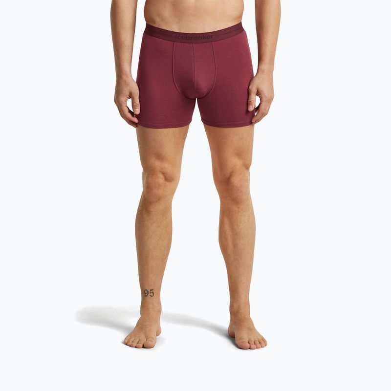 Thermo-Boxershorts für Herren icebreaker Anatomica Boxers port 2