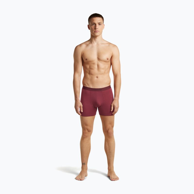 Thermo-Boxershorts für Herren icebreaker Anatomica Boxers port 3