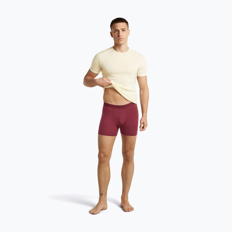 Thermo-Boxershorts für Herren icebreaker Anatomica Boxers port 5