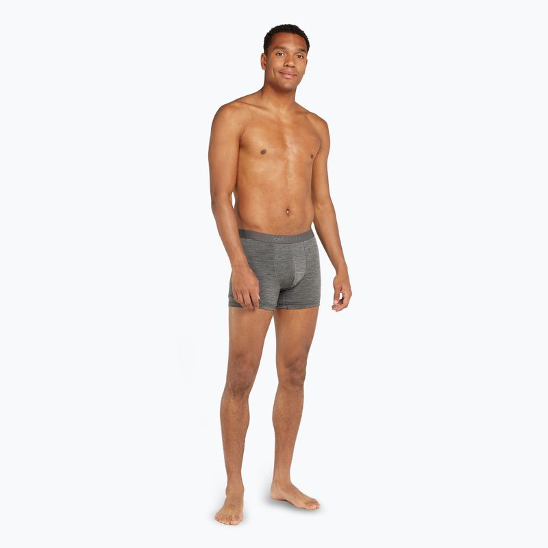 Thermo-Boxershorts für Männer icebreaker Merino 125 Cool-Lite Anatomica gritstone heather 3