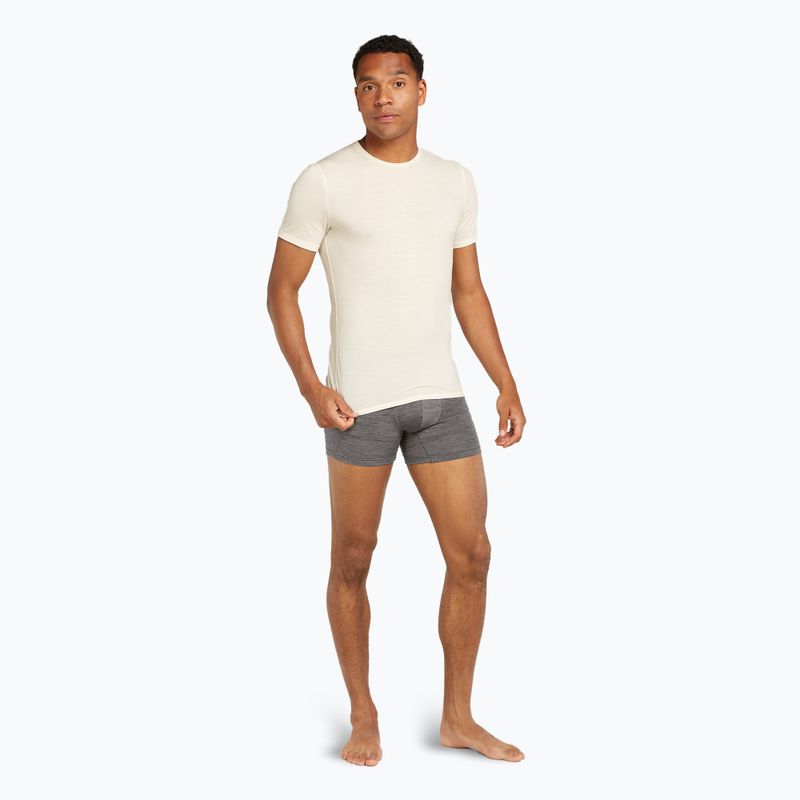 Thermo-Boxershorts für Männer icebreaker Merino 125 Cool-Lite Anatomica gritstone heather 6