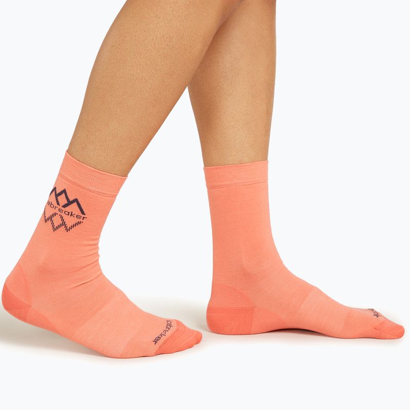 Icebreaker Damen-Trekkingsocken Life Fine Gauge Crew IB Logo Reflections tang/graphit 2