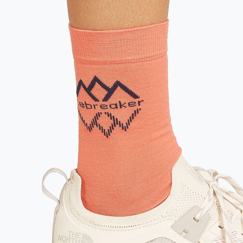 Icebreaker Damen-Trekkingsocken Life Fine Gauge Crew IB Logo Reflections tang/graphit 4