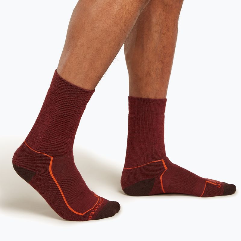 Icebreaker Herren Trekkingsocken Hike+ Medium Crew port/blaze/bittersweet 2