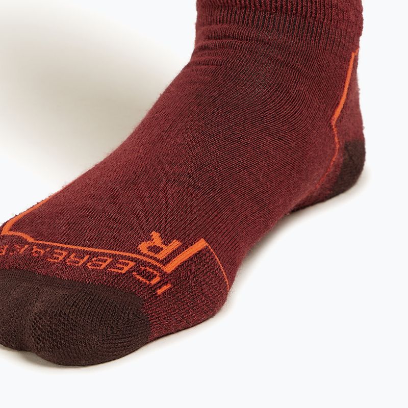 Icebreaker Herren Trekkingsocken Hike+ Medium Crew port/blaze/bittersweet 3