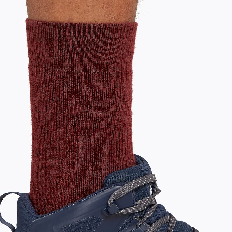 Icebreaker Herren Trekkingsocken Hike+ Medium Crew port/blaze/bittersweet 4