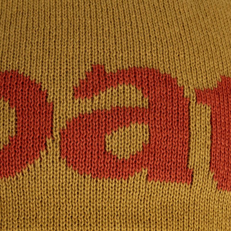 Patagonia Beanie Logo belwe / cosmic gold Trekkingmütze 4