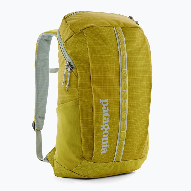Patagonia Black Hole Pack 25 l Strauch grün Wanderrucksack 2