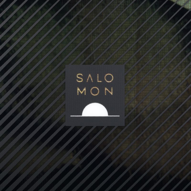 Snowboard Herren Salomon Pulse schwarz L47316 5