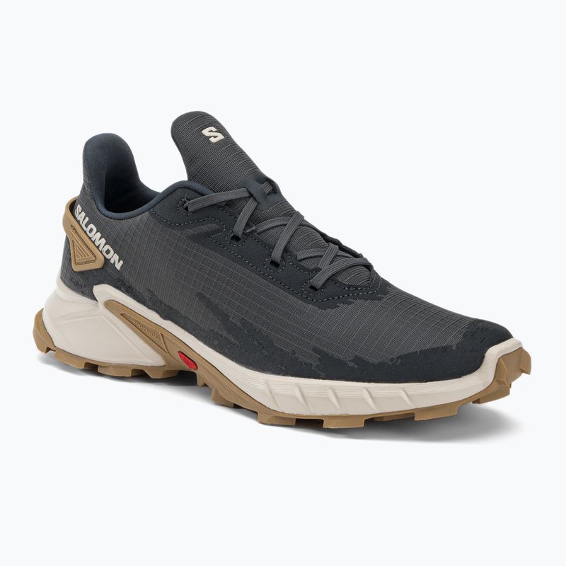 Salomon Alphacross 4 grau Herren Trail Schuhe L41724100