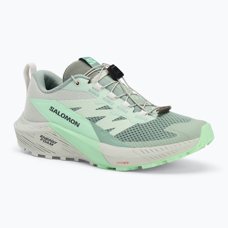 Damen Laufschuhe Salomon Sense Ride 5 lily pad/metal/green ash