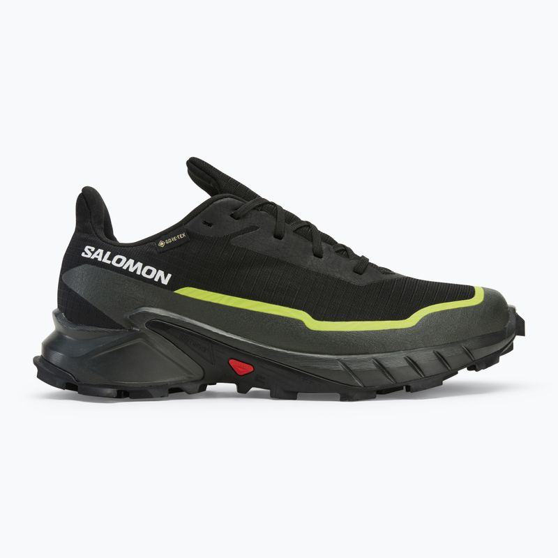Laufschuhe Herren Salomon Alphacross 5 GTX black/peat/sulphur spring 2