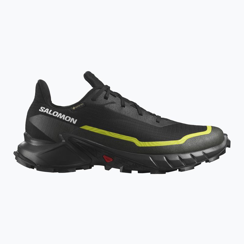 Laufschuhe Herren Salomon Alphacross 5 GTX black/peat/sulphur spring 9