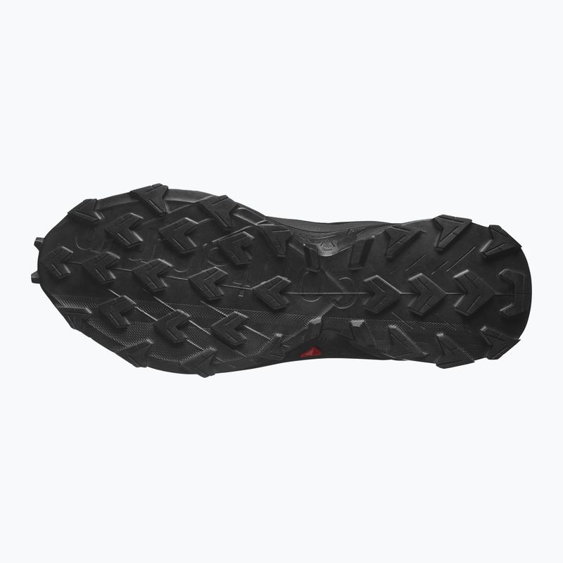 Laufschuhe Herren Salomon Alphacross 5 GTX black/peat/sulphur spring 10