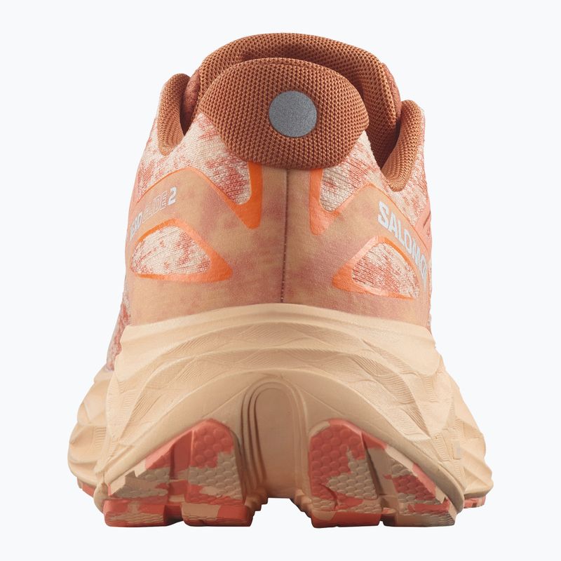 Salomon Aero Glide 2 Damen Laufschuhe spice route/peach quartz/fresh salmon 11
