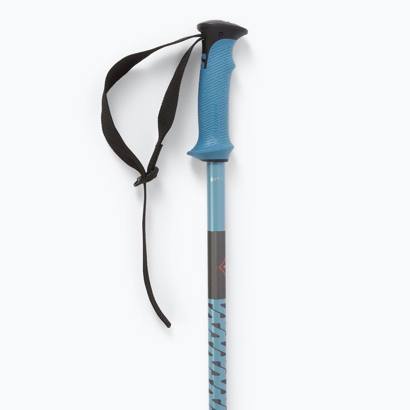 Skistöcke Salomon Polar Pro copen blue 4